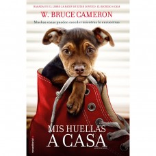 Mis Huellas A Casa Ashley Judd Pelicula Dvd